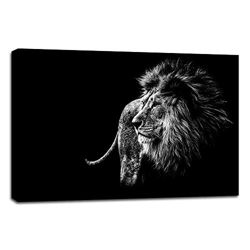 Animal wall art 28