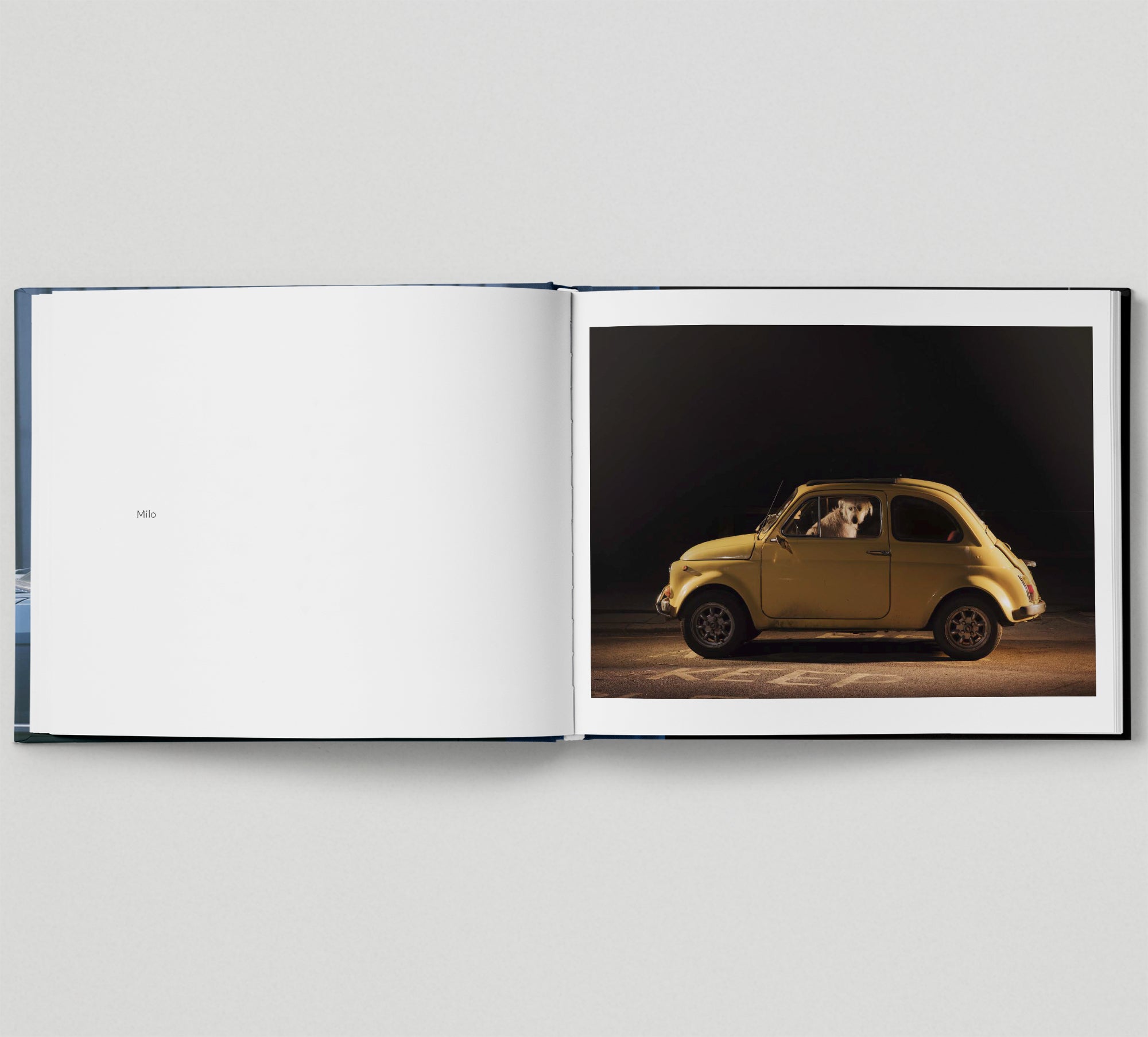 The Silence of Dogs in Cars - Thought-Provoking Photography Book for Dog Lovers, Perfect for Coffee Table Decor and Gift Ideas