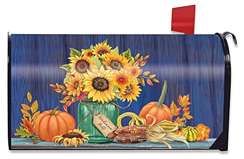 10 - Fall Mason
