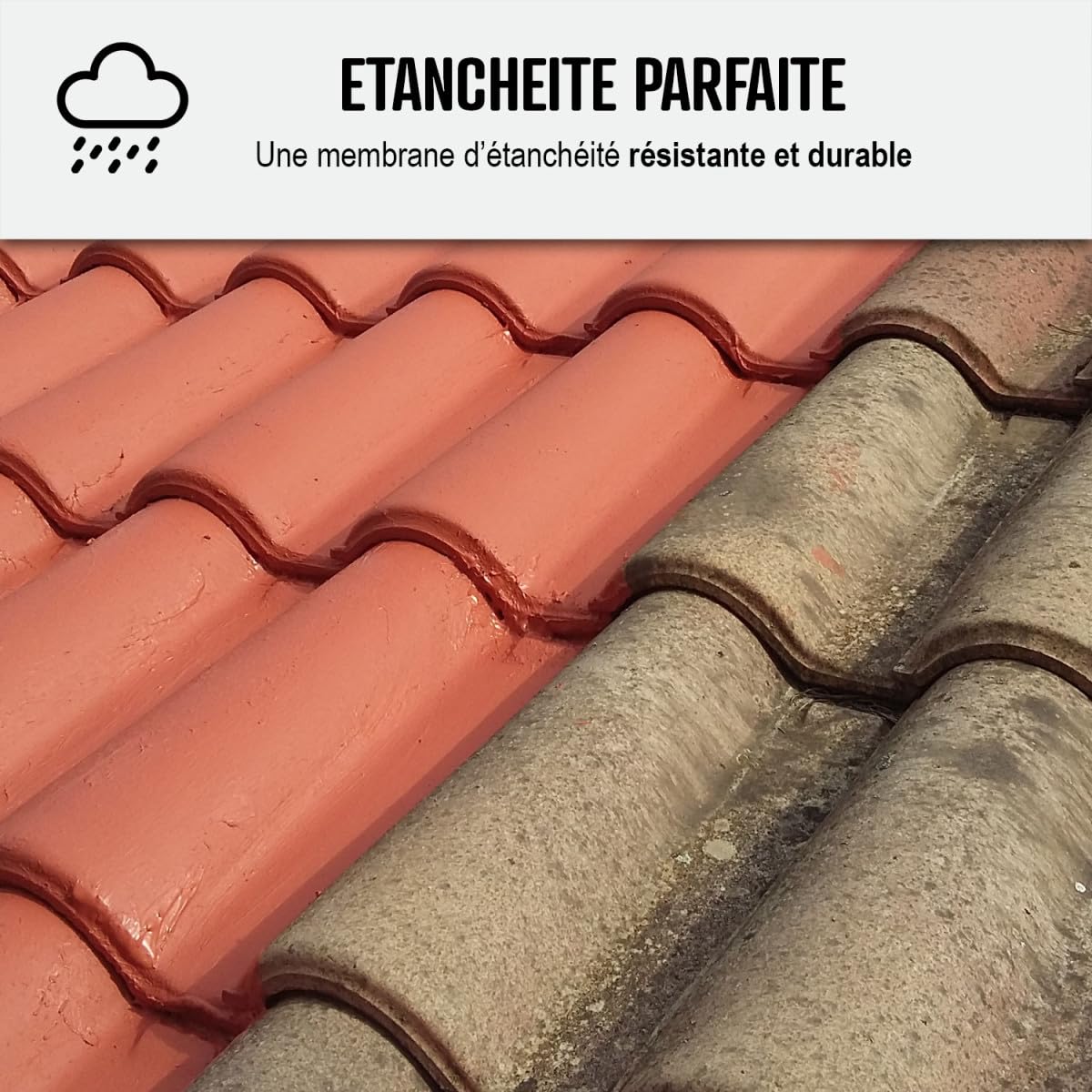 Waterproofing Resin - Roof Waterproof Paint - Special for Sloped Roofs: ARCAFILM - 0.75 L White - ARCANE INDUSTRIES | Ideal for Home Roof Repairs, Leak Protection & Weatherproofing