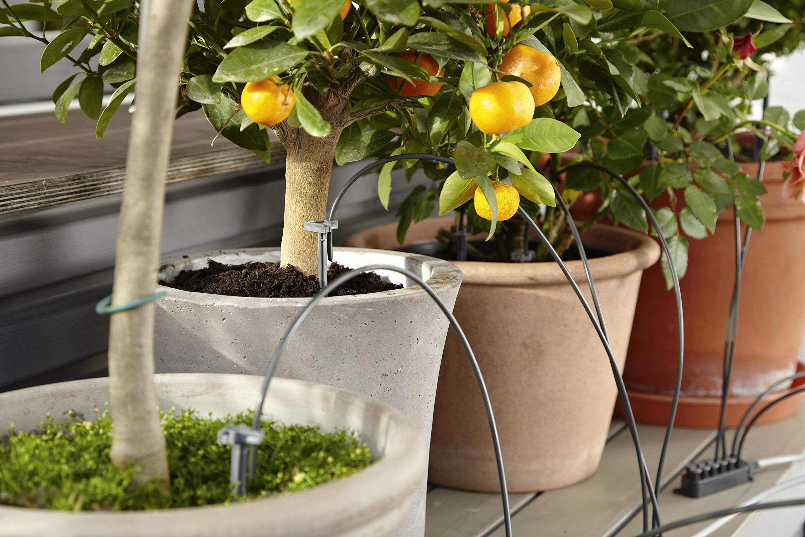 **Gardena City Gardening Holiday Watering Set – Automatic Plant Watering System for Indoor & Outdoor Plants – Waters Up to 36 Plants (Model 1265-20) – Perfect for Vacation, Travel & Home Garden Care**
