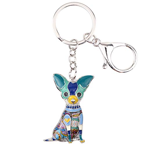 Blue Chihuahua