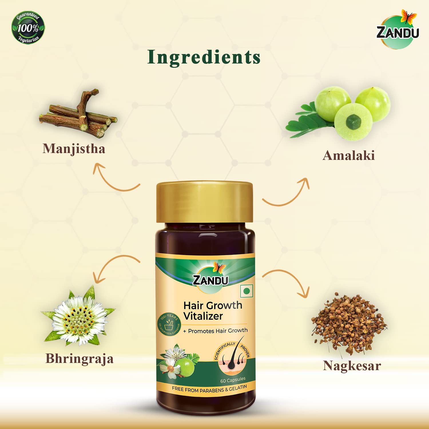 Zandu Hair Growth Vitalizer - Herbal Supplement for Hair & Scalp Nourishment | 60 Capsules | Promotes Healthy Hair Growth | Ideal for Thinning Hair & Scalp Care | Perfect for Daily Hair Wellness Routine