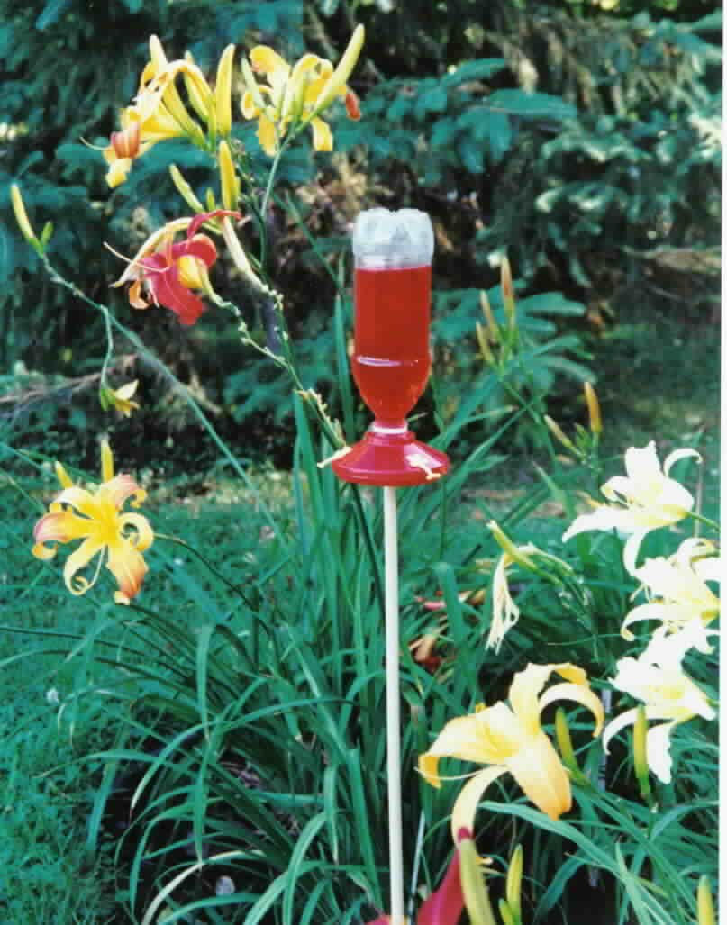 Gadjit Soda Bottle Hummingbird Feeders Kit (2-Pack) - DIY Recycled Plastic Bottle Bird Feeder with Nectar Tray - Outdoor Garden Decor for Attracting Wild Birds - Eco-Friendly Red Hummingbird Feeder for Backyard, Patio & Balcony