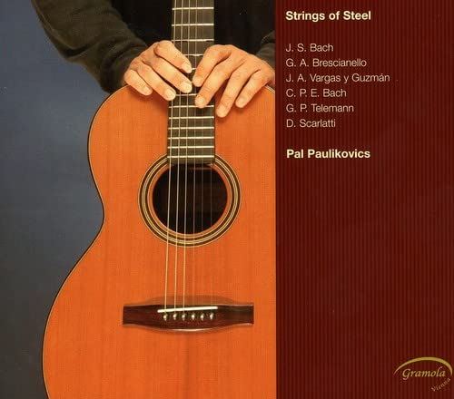 Premium Steel Guitar Strings - Durable & Bright Tone for Acoustic & Electric Guitars | Perfect for Live Performances & Studio Recording