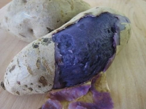 Okinawan Sweet Potato Seeds - Hawaiian Sweet Potato & Uala - Non-GMO, Organic, Easy to Grow for Home Gardens & Farms