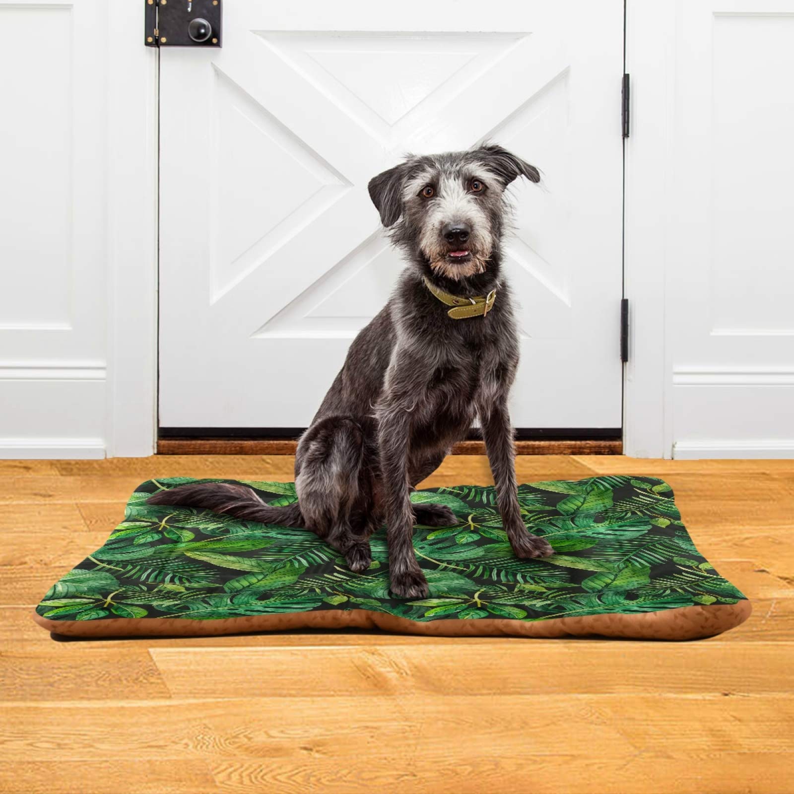 Tropical Leaves Pet Bed for Dogs & Cats - Ultra Soft Rectangle Comfort Bed, Calming Dog Bed for Small & Medium Breeds (24x18 Inches) - Perfect for Living Room, Bedroom & Pet-Friendly Spaces