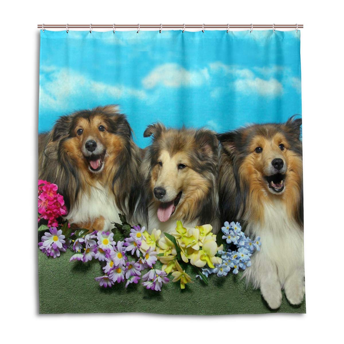 ALAZA Shetland Sheepdogs Shower Curtain 72 x 72 Inch - Waterproof Polyester Bathroom Decor with Hooks - Perfect for Farmhouse, Pet Lover & Coastal Style Bathrooms