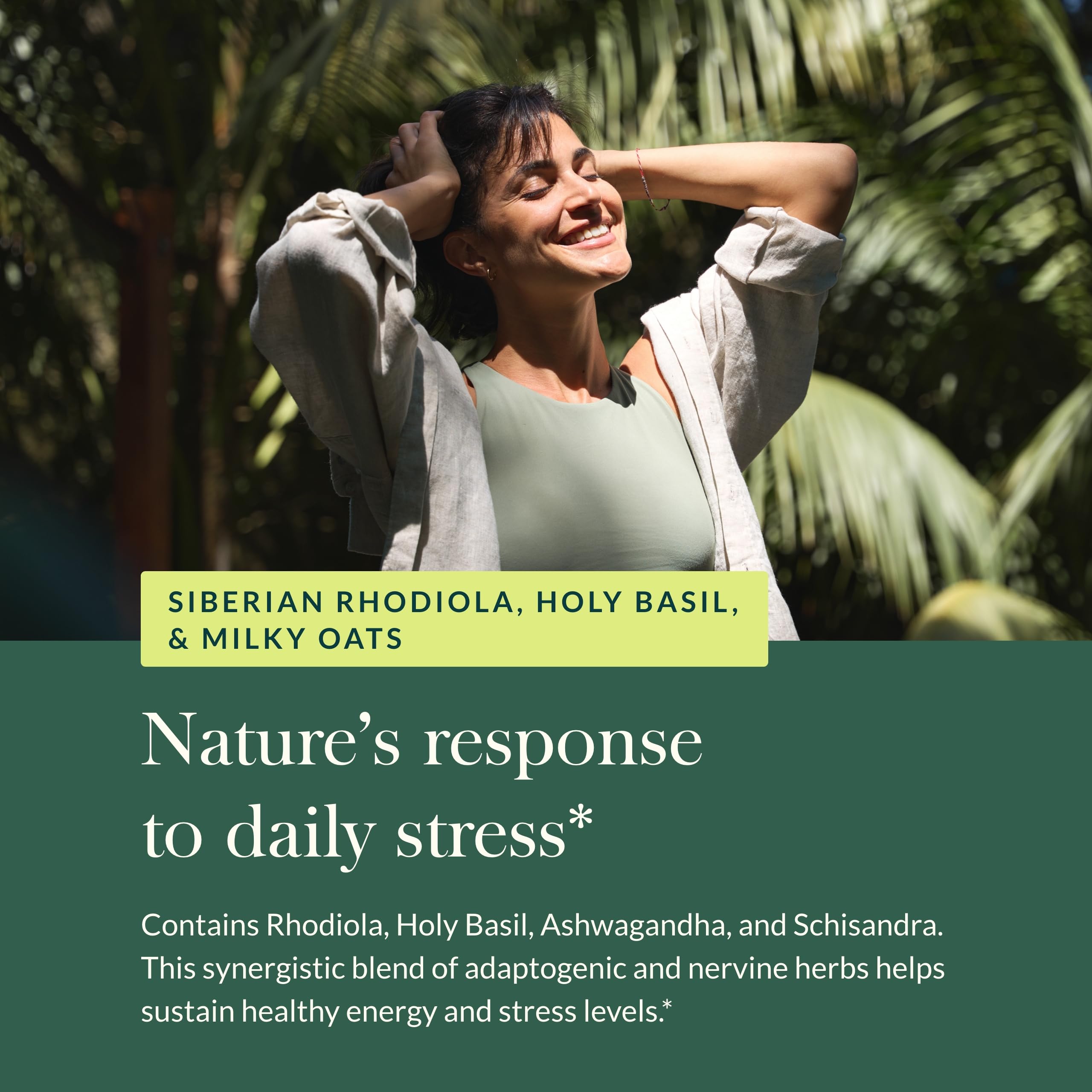 Gaia Herbs Adrenal Health Daily Support Supplement with Ashwagandha, Holy Basil & Schisandra - 120 Liquid Phyto-Capsules for Energy & Stress Relief - Supports Healthy Cortisol Levels & Vitality - Perfect for Busy Professionals & Stressful Lifestyles