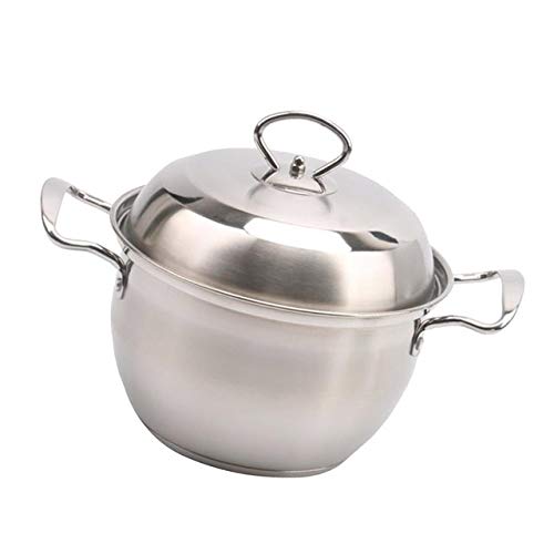 Nonstick Soup Pot Stock Pot - 22cm Milk Pan, Saucepan for Cooking, Boiling & Simmering - Perfect for Soups, Stews, Pasta & Sauces - Durable Kitchen Cookware for Home & Restaurant Use