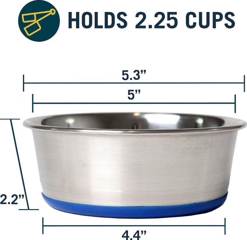 Premium Stainless Steel Dog Bowls Set of 2 - 1.2 Pints (2 Cups) Capacity Each - Non-Skid Base for Messy Eaters - Perfect for Indoor/Outdoor Feeding & Travel