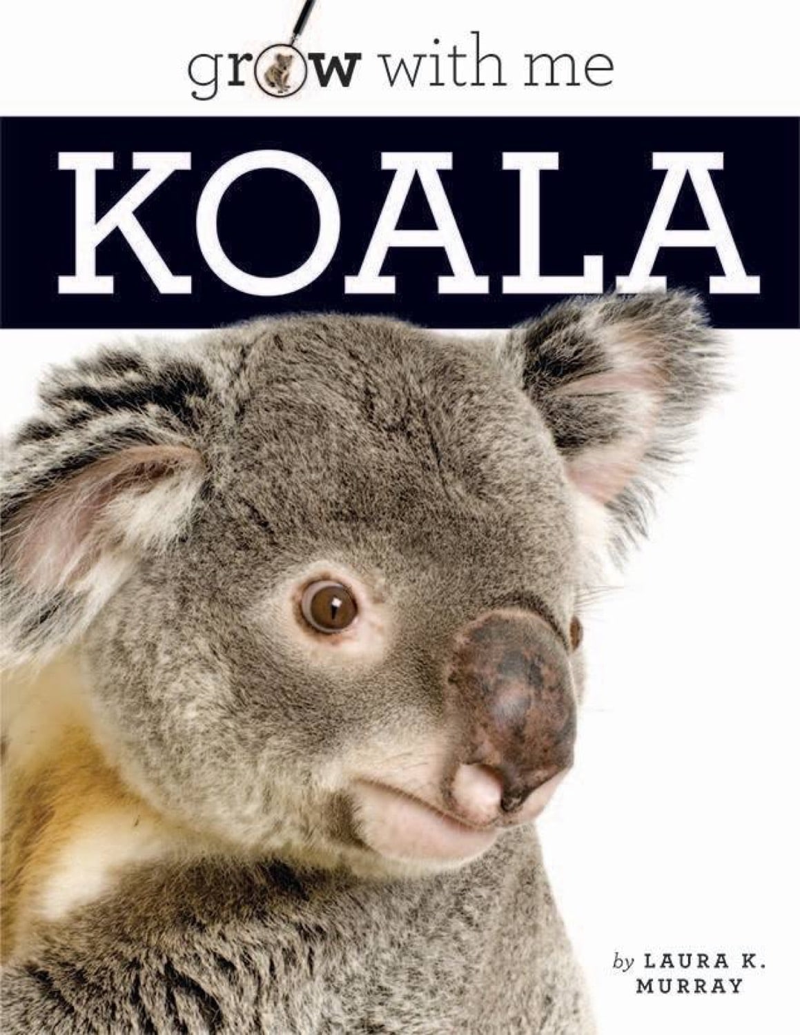 Koala 978-1-60818-562-7 - Cute Plush Koala Toy for Kids, Perfect Gift for Animal Lovers & Nursery Decor