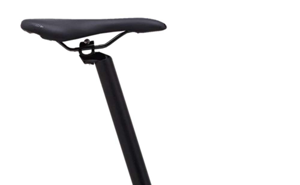 Polygon Urbano 3 Folding Bike - 20 Inch Compact Foldable Bicycle for Adults, Lightweight Aluminum Frame, 7-Speed Gears - Perfect for Commuting, Travel & Urban Riding