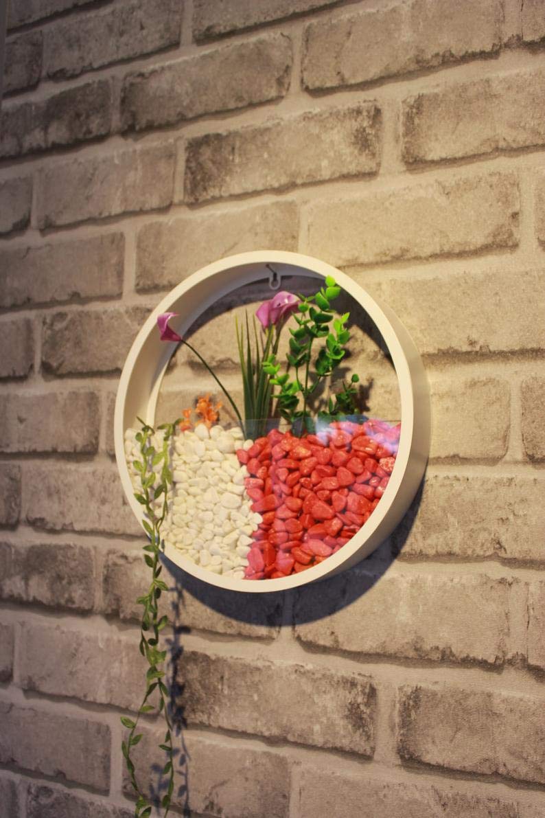 Ecosides 8