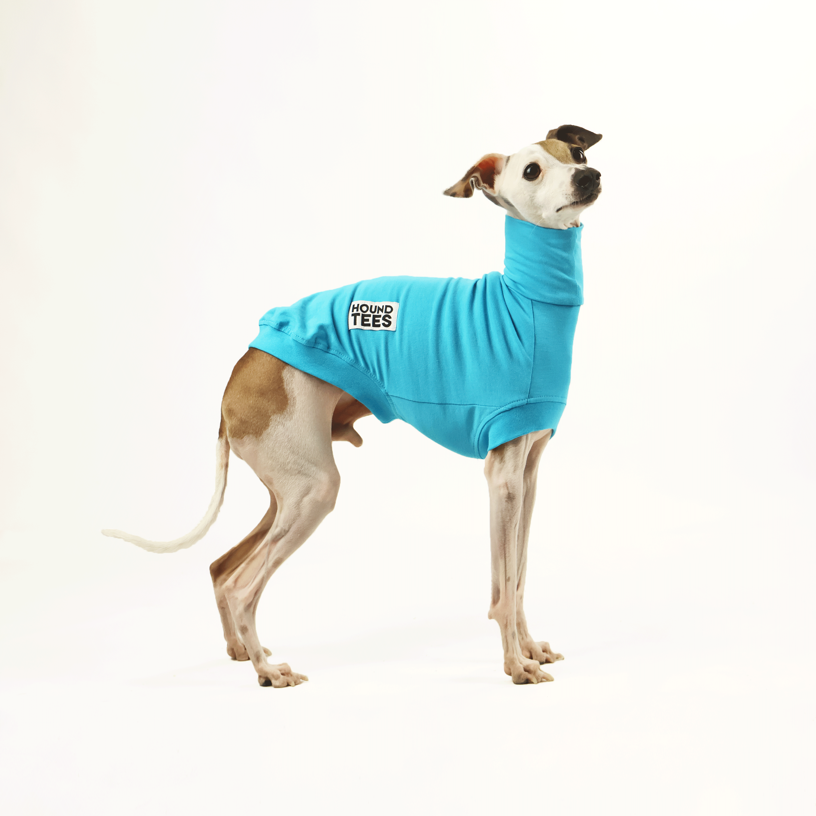 Bluey Iggy Sleeper Base Layer for Women - Lightweight Sleeveless Undershirt for Yoga, Running & Summer Wear