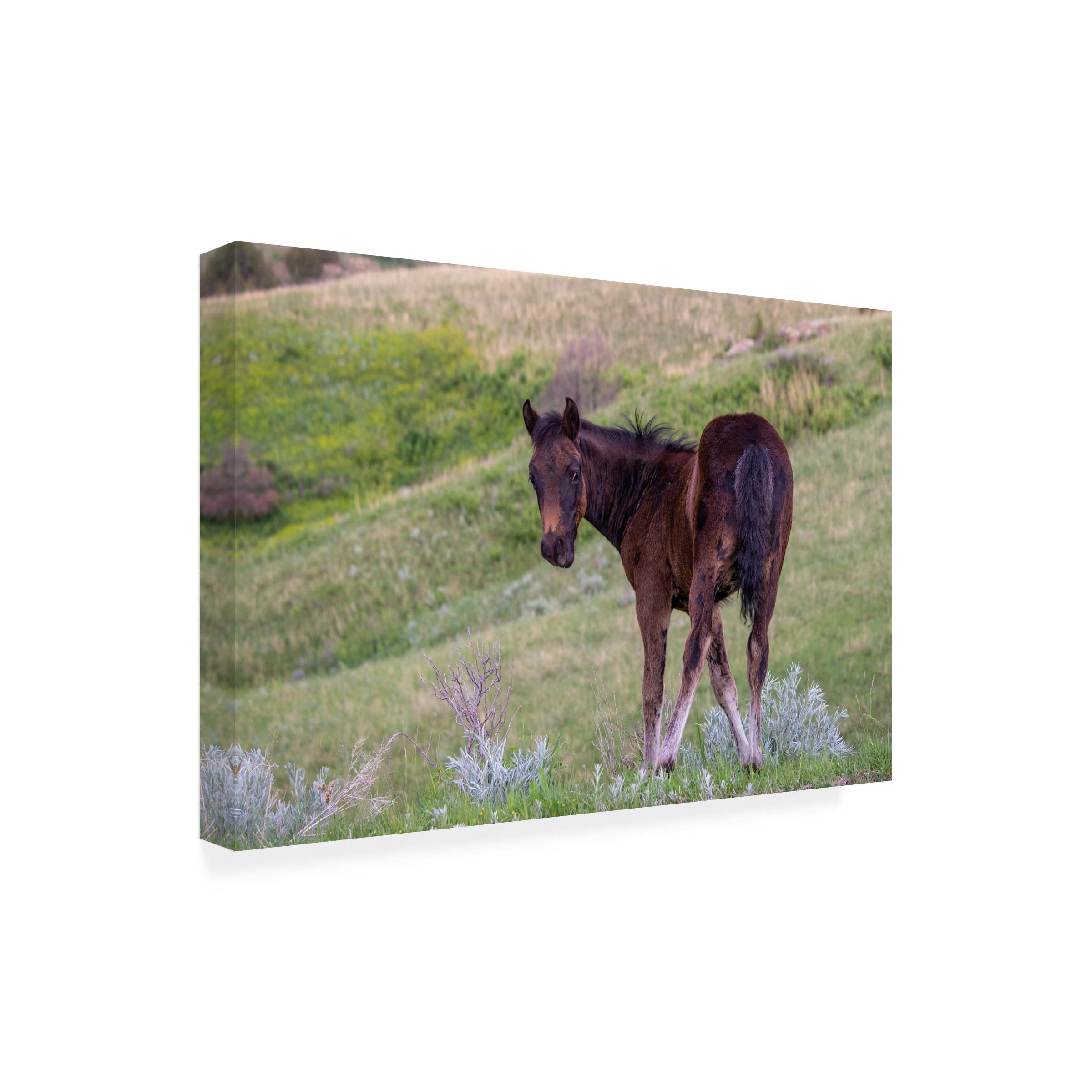 Gordon Semmens 'Enter the Badlands 44' Canvas Art Print - 16x24 Inches - Western Landscape Wall Decor for Living Room, Office & Man Cave