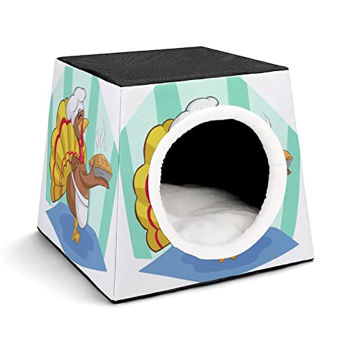 Color7