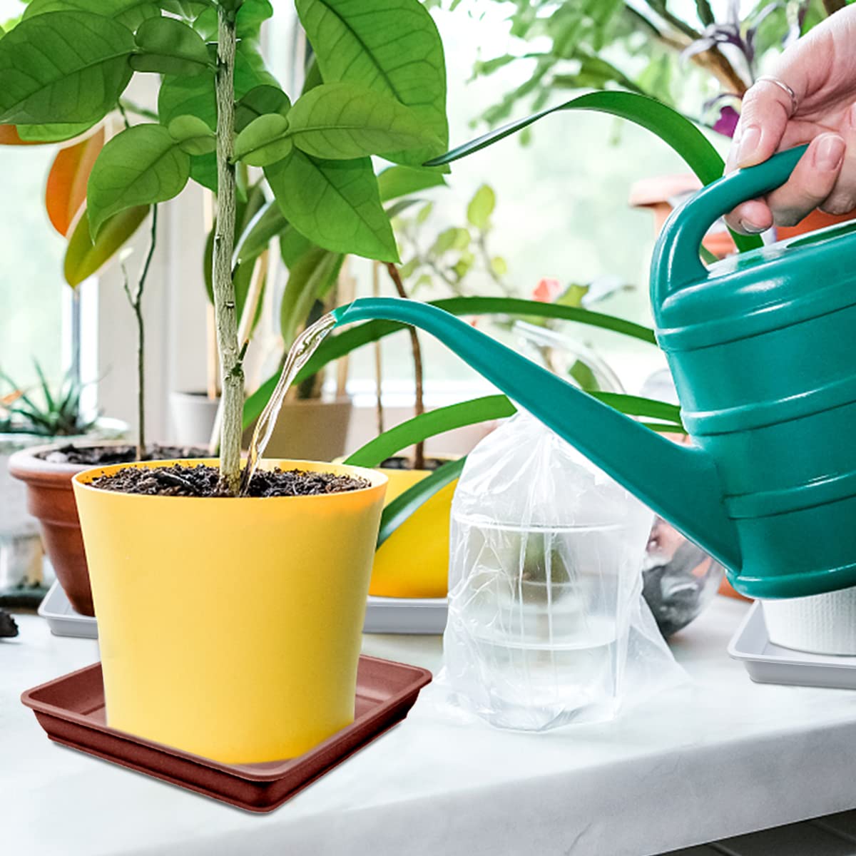 10 Pack 6 Inch Square Plastic Plant Saucers - Heavy Duty Flower Pot Drip Trays for Indoor/Outdoor Potted Plants - Garden Plant Water Catchers & Soil Protectors (Brown) - Perfect for Balcony, Patio & Greenhouses