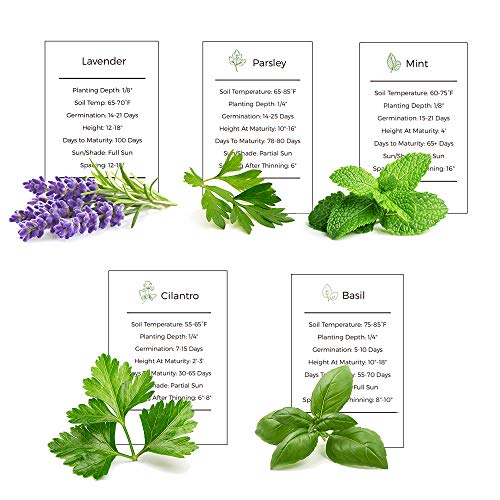 Basil, Mint, Parsley, Cilantro & Lavender