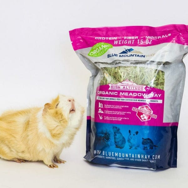 Premium Organic Blue Mountain Hay - High Altitude Meadow Hay for Small Pets (15oz) | Nutritious Natural Food for Rabbits, Guinea Pigs & Hamsters | Perfect for Cage Bedding & Daily Feeding