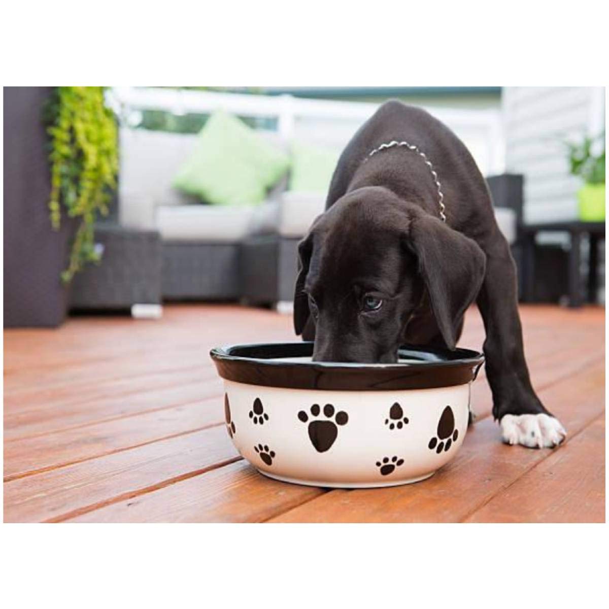 Black Great Dane Puppy Eating on Deck DIY Paint by Numbers Kit - 16