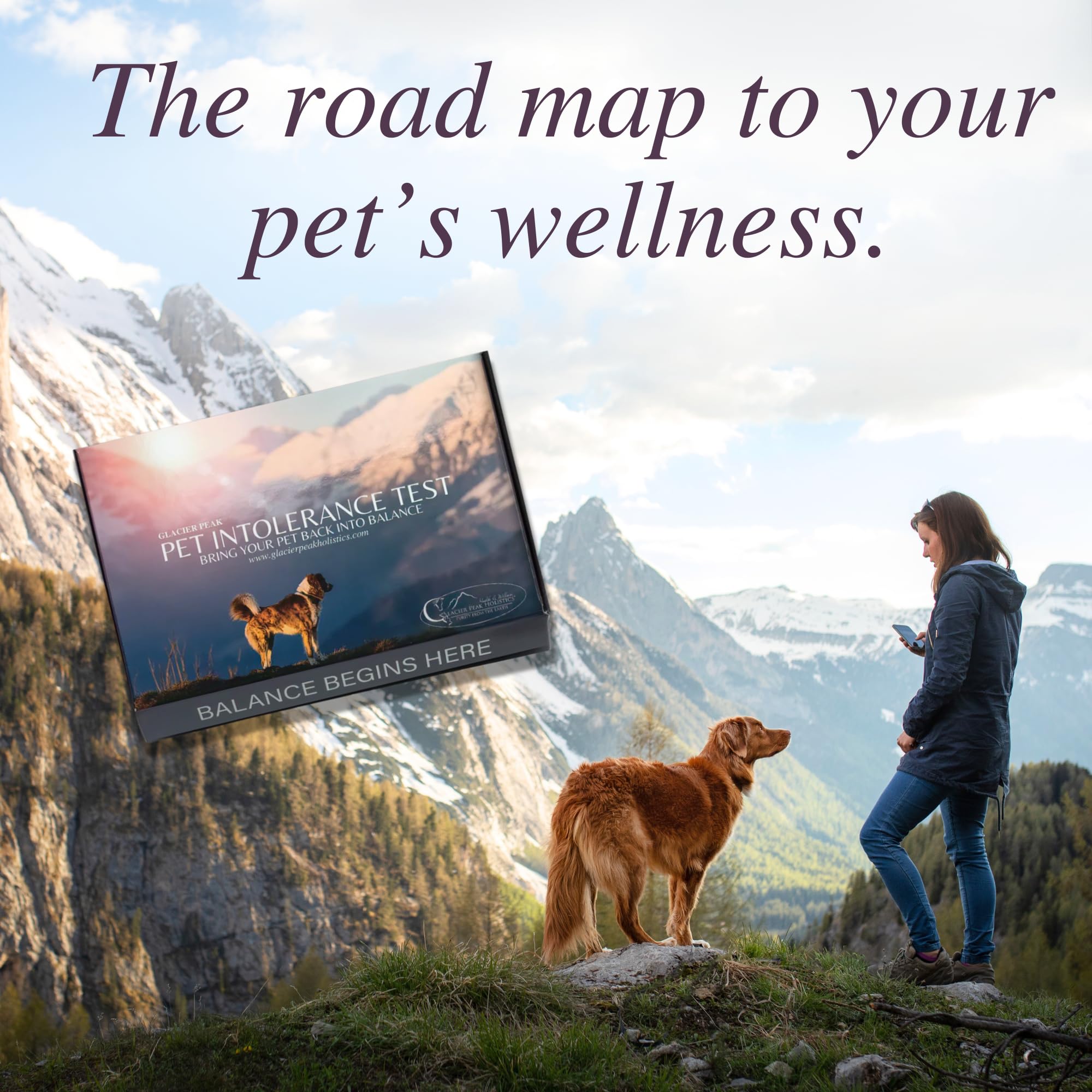 Glacier Peak Holistics Original Pet Intolerance Test Kit - Screen for 350+ Food & Environmental Allergens for Dogs & Cats | Hair & Saliva Sensitivity Test | Identify Triggers for Digestive Issues, Skin Irritations & More