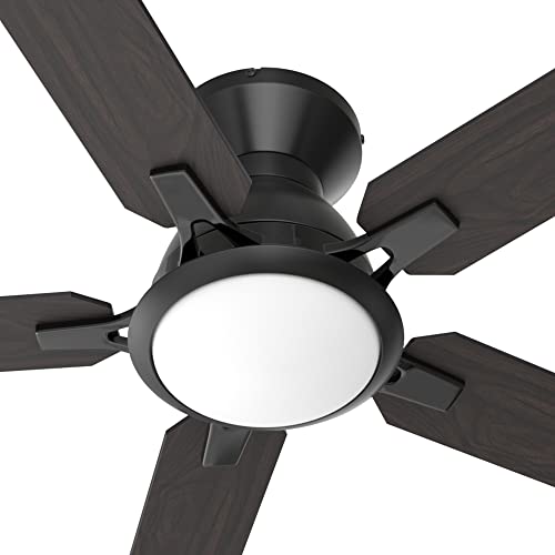 JLFM Black