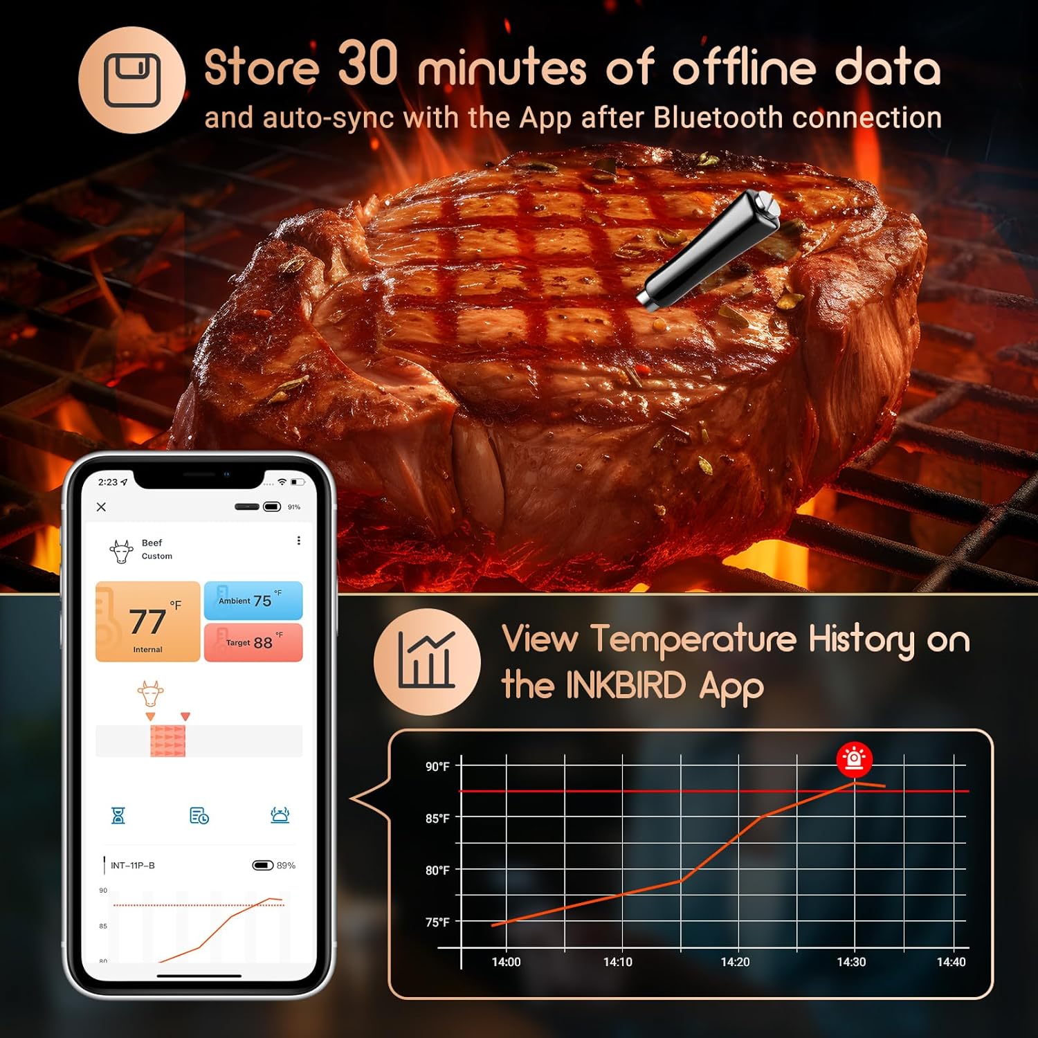 Wireless Bluetooth Meat Thermometer for Grilling, Smoking & BBQ - INT 11P B - Perfect for Steak, Chicken, Turkey & Outdoor Cooking