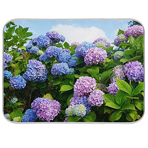 Blue Purple Hydrangea Flowers