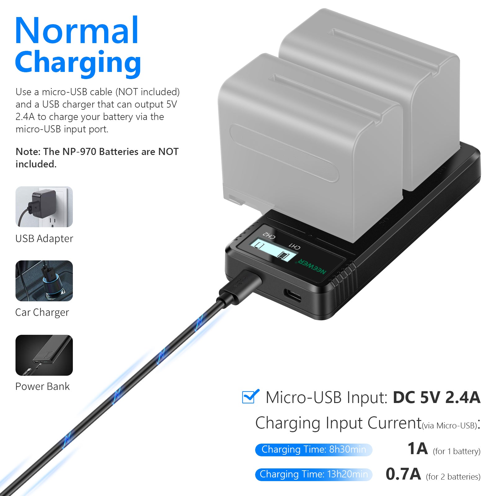 NEEWER Dual USB Battery Charger for Sony NP-F Series - Fast Charging for Sony Cameras, Camcorders & DSLRs - Perfect for Travel, Vlogging & Professional Photography