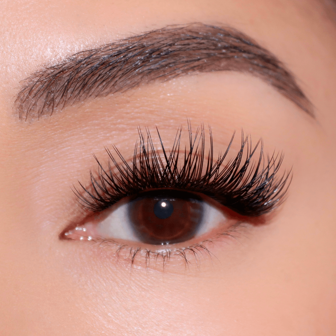 Professional Curated Eyelash Extension Kit - Natural & Dramatic Looks for Every Occasion | Perfect for Bridal, Party & Everyday Wear