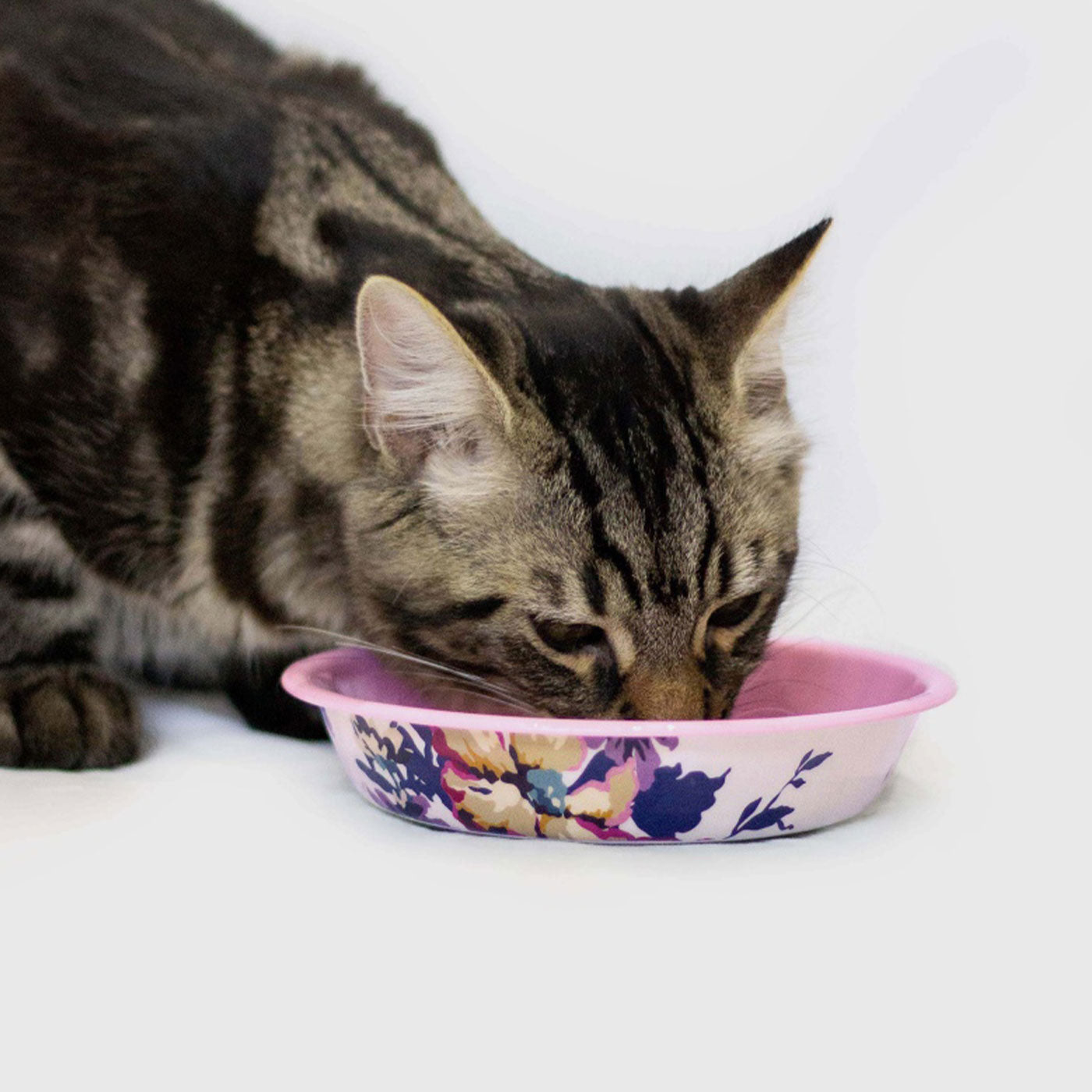 Joules Cambridge Floral Cat Bowl - Ceramic Pet Food Dish with Non-Slip Base, Perfect for Indoor & Outdoor Feeding - Ideal for Cats, Kittens, and Small Dogs