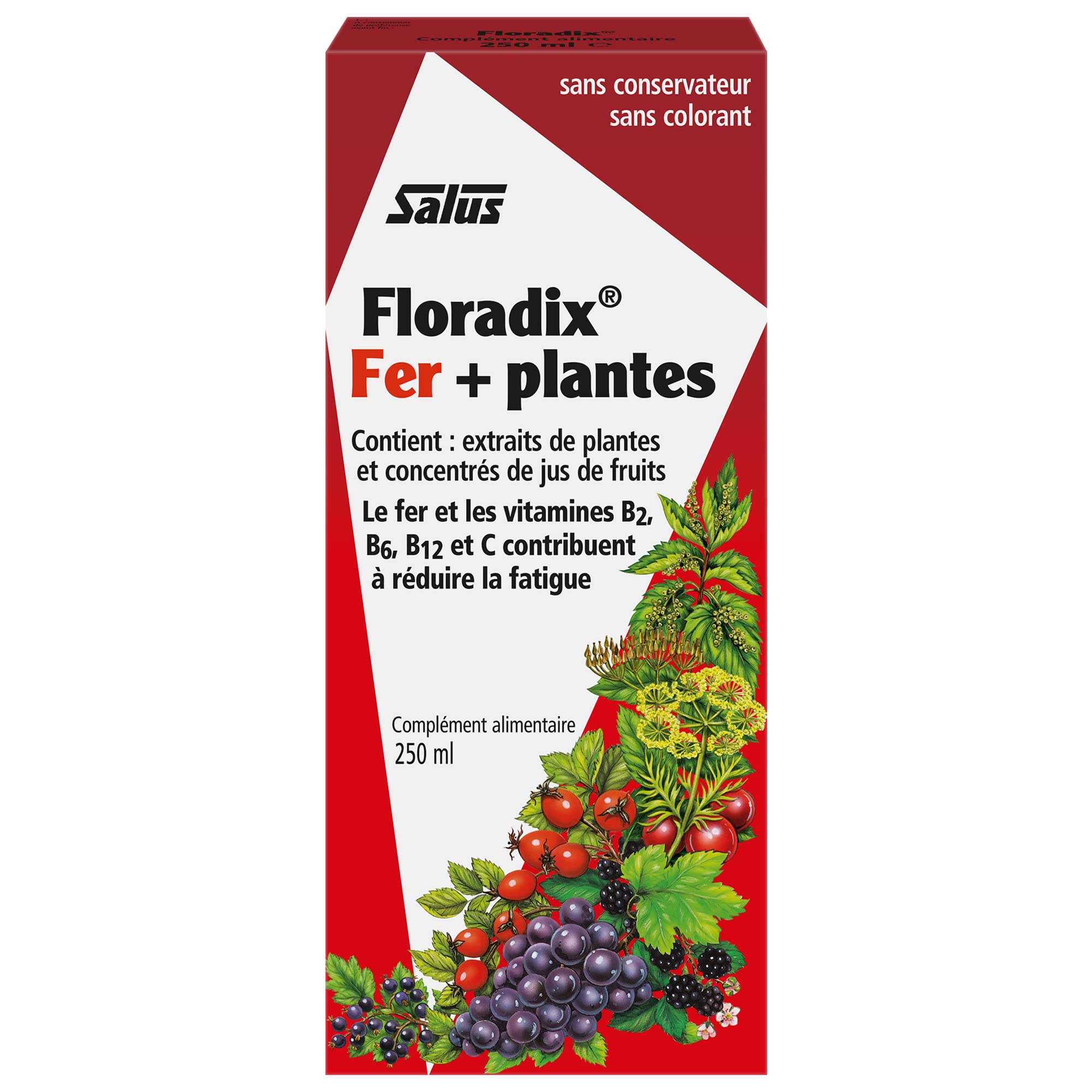 Floradix Liquid Iron & Vitamin Supplement - 250ml | Herbal Iron Formula for Energy & Vitality | Supports Healthy Blood & Immune System - Perfect for Adults & Teens with Low Iron Levels