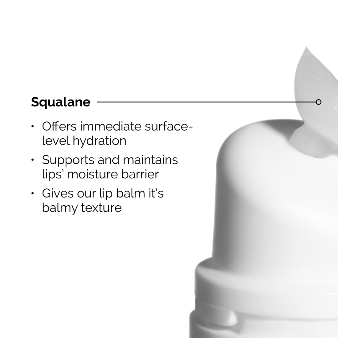 The Ordinary Squalane + Amino Acids Hydrating Lip Balm - Ultra Moisturizing for Dry Lips, Elbows & Cuticles - 0.5 Fl Oz - Perfect for Winter Care, Night Repair & Daily Nourishment