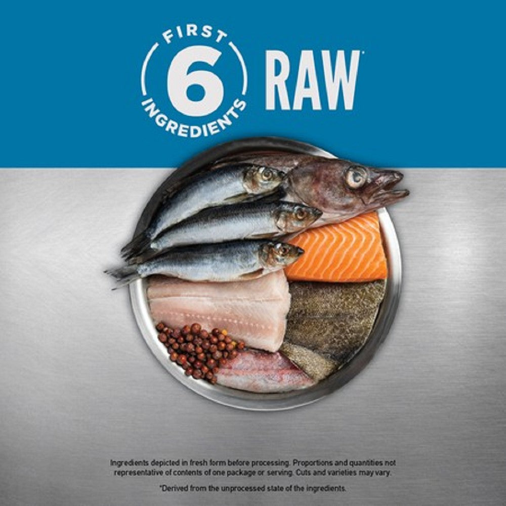 Premium 6 Fish Formula Adult Cat Dry Food - High Protein, Grain-Free, Natural Ingredients for Healthy Skin & Coat - Ideal for Indoor & Outdoor Cats in USA
