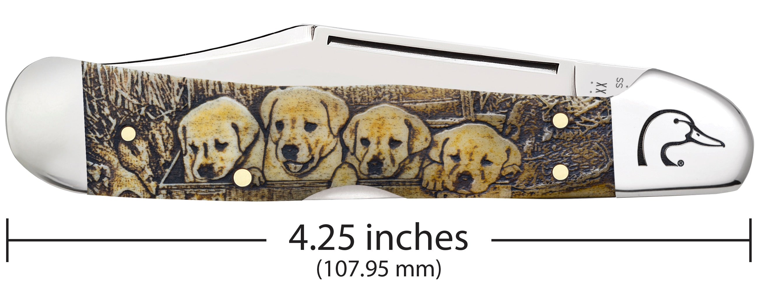 Case Ducks Unlimited Natural Bone Color Wash CopperLock Pocket Knife with Wood Box - Hunting & Outdoor Survival Tool (Model CASE17525) - Perfect for Camping, Fishing & Everyday Carry (EDC)