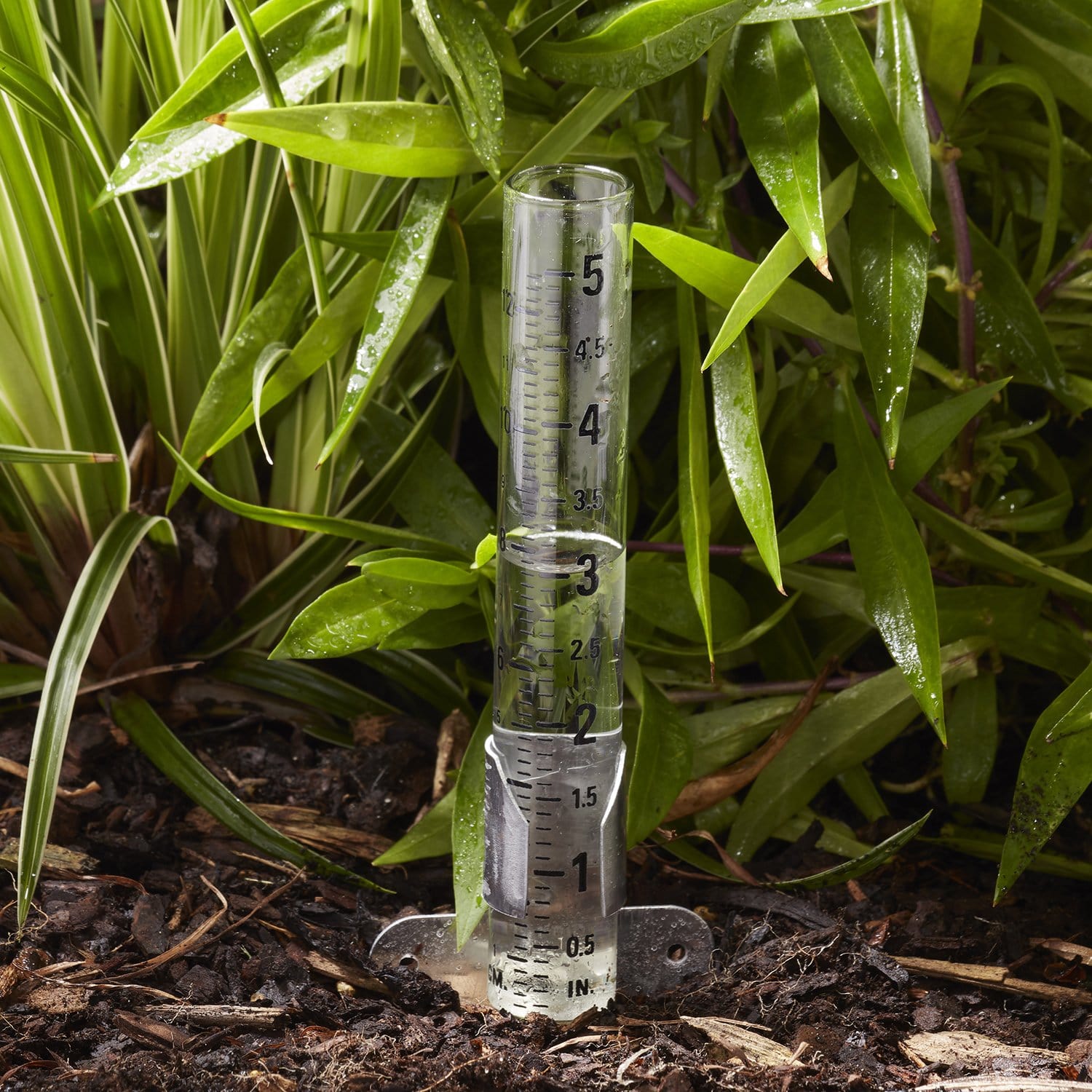 5 Capacity Glass Rain Gauge - Accurate Outdoor Rainfall Measurement for Garden, Lawn & Weather Enthusiasts - Perfect for Home, Farm & Meteorological Use