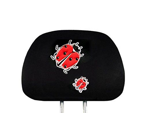 Ladybug