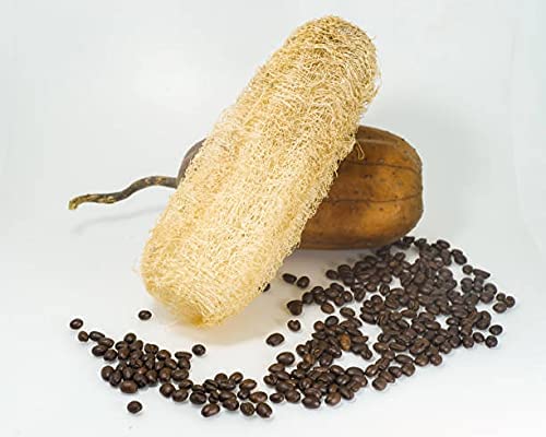 Natural Loofah Sponge for Bathing & Exfoliating - Organic Body Scrubber for Men & Women - Perfect for Shower, Spa, and Gentle Skin Care Routine