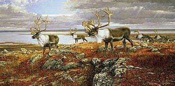 Ron Van Gilder - On the Move - Caribou Painting | Wildlife Art for Home & Office Decor | Perfect for Nature Lovers & Cabin Wall Art