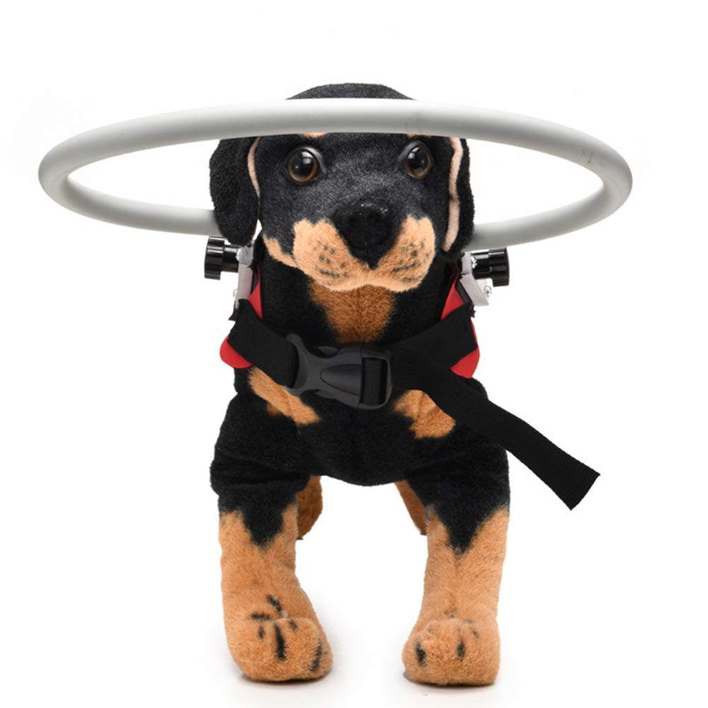 Blind Dog Harness Vest - Anti Collision Ring & Guiding Device for Blind Pets (Red, Size S) - Perfect for Indoor Safety & Outdoor Walks