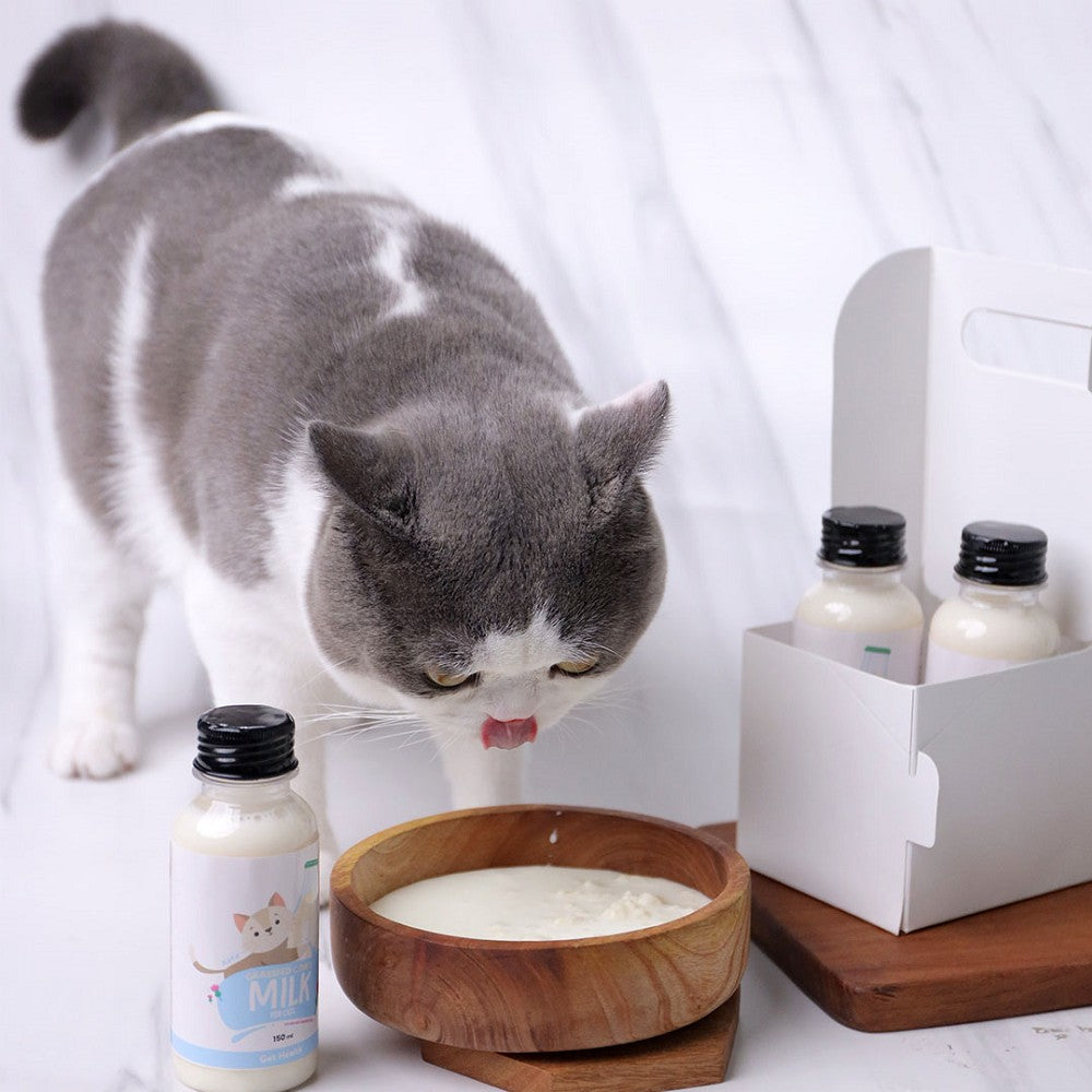 Premium Frozen Kefir Milk for Dogs & Cats - Probiotic Treat for Pet Digestion & Immune Support - Perfect for Hot Summer Days & Training Rewards