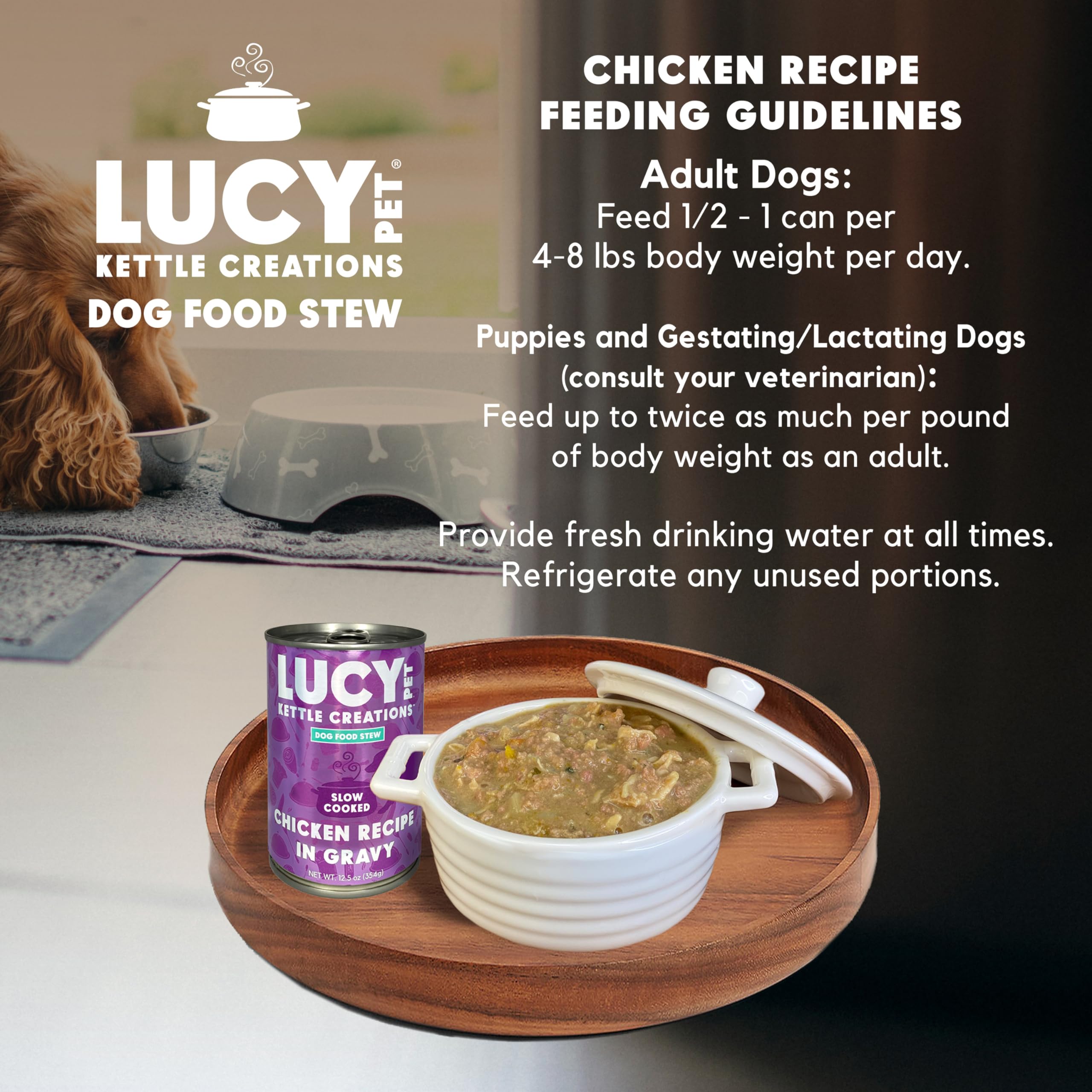 Lucy Pet Products Kettle Creations Chicken Dog Stew in Gravy - 12.5oz (Case of 12) | High-Protein Wet Dog Food for Adult Dogs | Perfect for Mealtime, Training Treats & Senior Dogs with Sensitive Stomachs