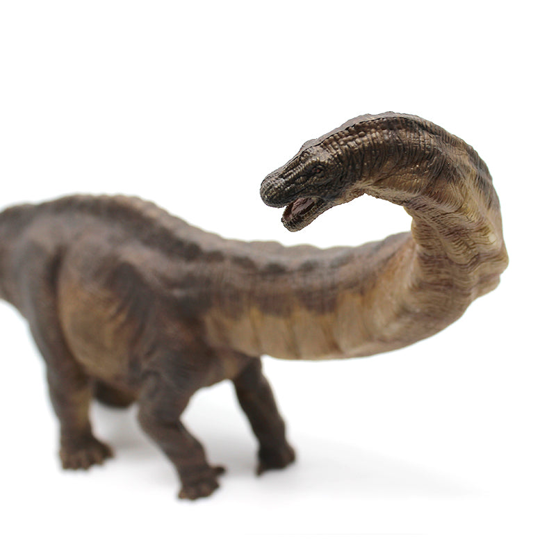 Apatosaurus Dinosaur Toy - Realistic Jurassic Dinosaur Figure for Kids, Collectors & Educational Play | Perfect for Dinosaur Themed Parties, Classroom Learning & Gift Giving