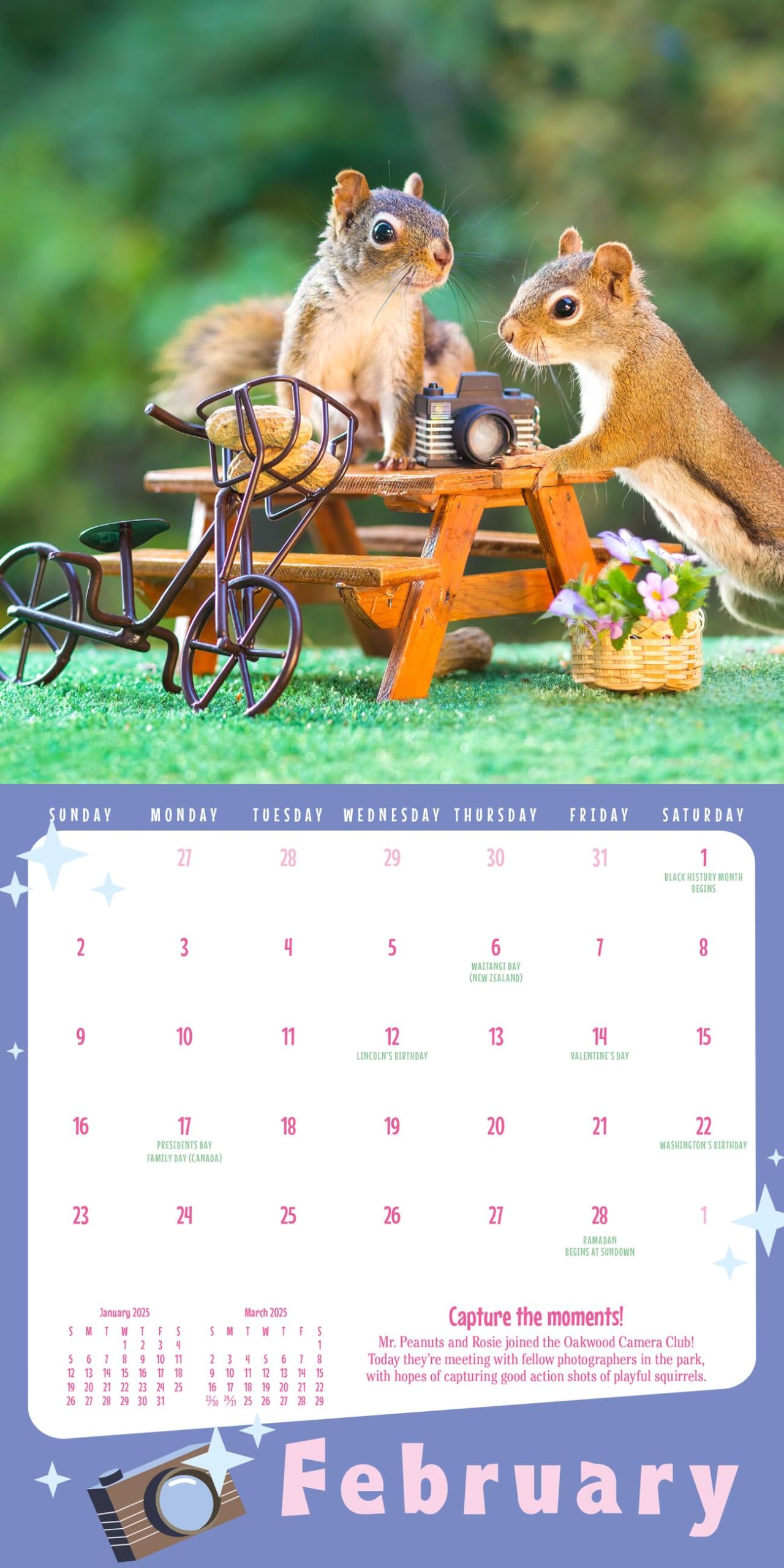 The Secret Life of Squirrels Mini Wall Calendar 2025 - Cute Animal Planner for Home, Office & School Organization | Perfect Gift for Nature Lovers