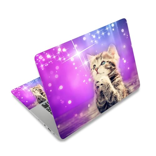 Purple Wish Cat