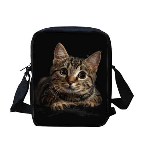 Funny Cat