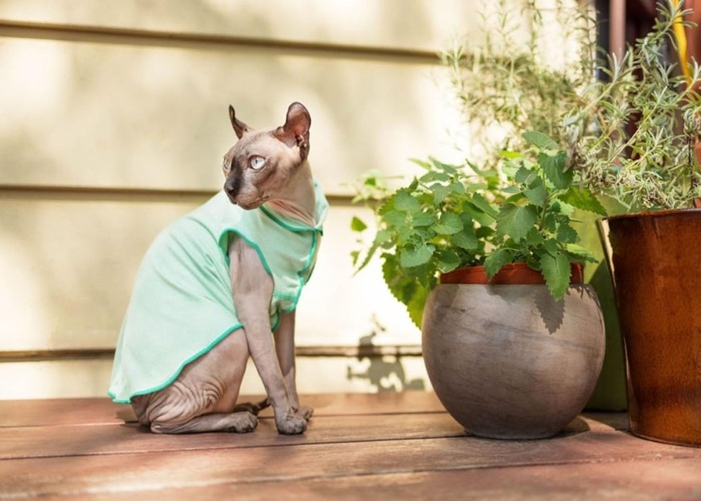 Sun Shield UV Protection Dog T-Shirt - Breathable Canine Tee for Anxiety Relief & Wound Care - Prevents Foxtails & Alopecia - Machine Washable All-Season Pet Shirt (Size 14, Ocean Blue) - Perfect for Outdoor Adventures, Vet Visits & Post-Surgery Recovery