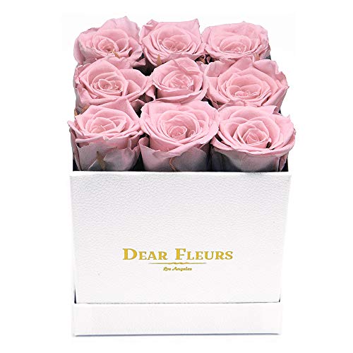 Rose Quartz Pink