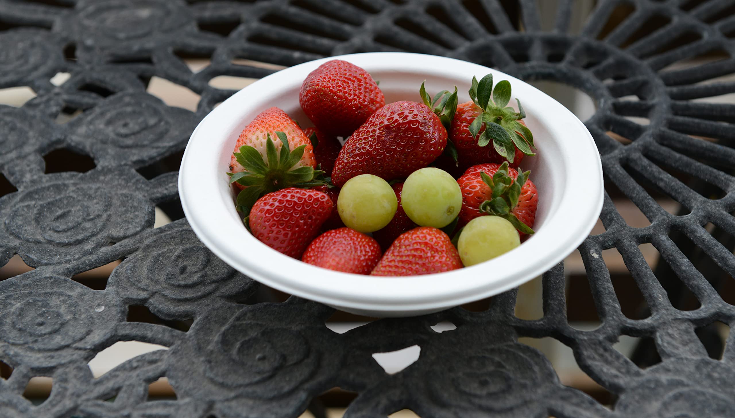 800 Pack 12 oz Heavy Duty Disposable Bowls - 100% Compostable Eco-Friendly Bagasse Bowls | Bamboo Fiber Biodegradable & Sturdy | Heat & Liquid Resistant | Perfect for Parties, Restaurants, Cereal, Picnics & Outdoor Events